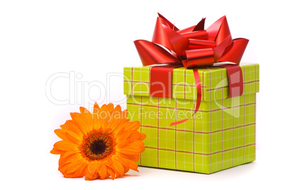 Orange gerber flower and gift box on white background