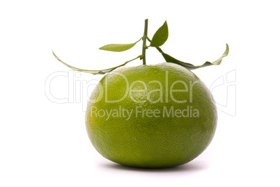 Fresh grapefruit isolated on a studio white background.