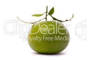 Fresh grapefruit isolated on a studio white background.