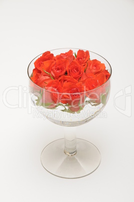 Glas mit Rosen