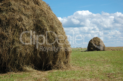 Haystacks on the meadow