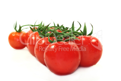 Tomaten