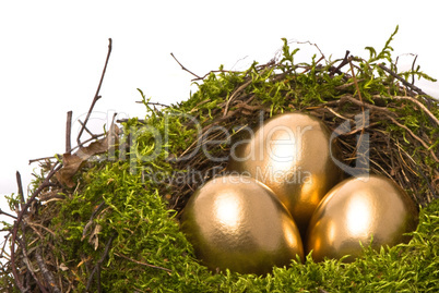 Golden eggs in a nest