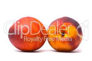 Two juicy nectarines