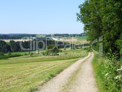 Feldweg im Hunsrück