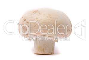 Fresh mushroom isolated on a white background