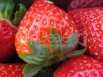 Strawberries