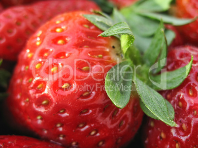 Strawberries