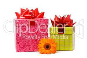 Orange gerber flower and gift boxes on white background