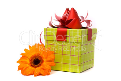 Orange gerber flower and gift box on white background