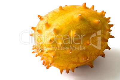 Horngurke - Horned Melon