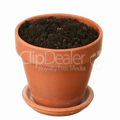 Fresh ground in a flowerpot