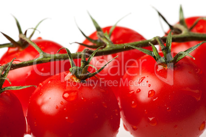 Tomaten isoliert auf weißem Hintergrund