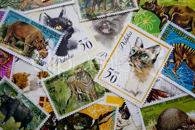 World stamps: animals