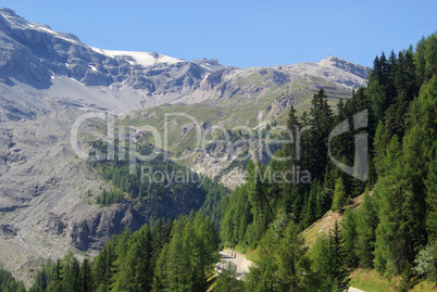Ortler Massiv - Ortler Alps 08