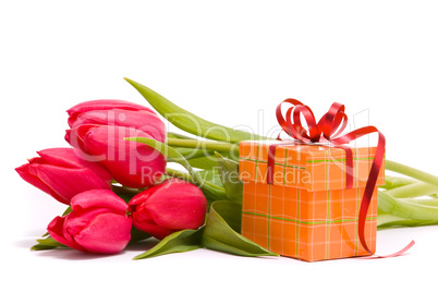 Red tulips and gift box on a white background