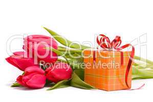 Red tulips and gift box on a white background