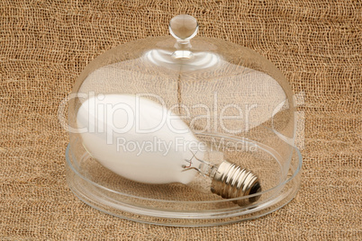 Light bulb and bell glass