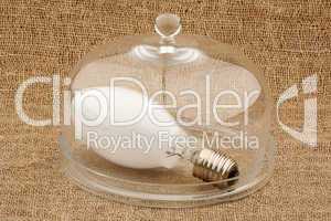 Light bulb and bell glass