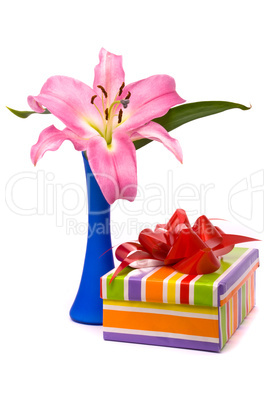 Pink lily and gift box on a white background