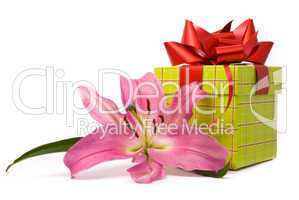 Pink lily and gift box on a white background