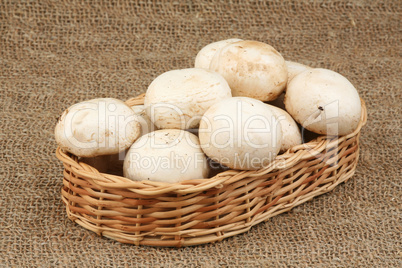 Champignons