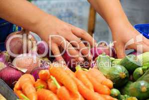 Gemüsemarkt - market stall for vegetable 03