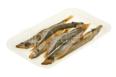 Capelin