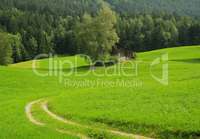 Alpen Alm - Alps pasture 03