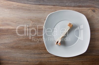 Empty dinner plate with bones