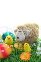 Schaf mit Eiern und Küken auf einer Wiese