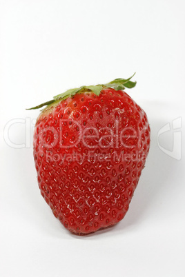 Erdbeere, Strawberry