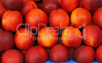 Pfirsiche, Aprikose - Peach, apricot
