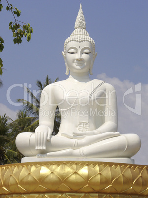 Weißer Buddha - Thailand