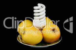 Bulb and apples on a plate