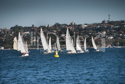 Sydney Bay, August 2009