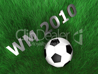 Fussball - 2010 - Gras