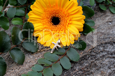 Gerberablüte mit goldenem Kreuz