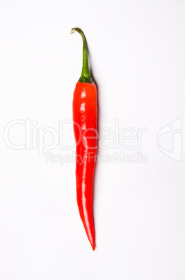 chili pepper