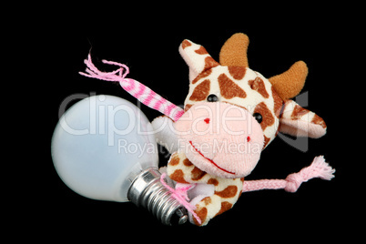 Cow with a light bulb