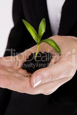 woman holding plant