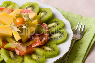 Tropischer Obstsalat -Tropical Fruit Salad