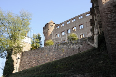 Burg in Wertheim