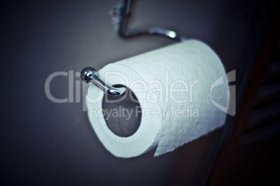 toilet roll
