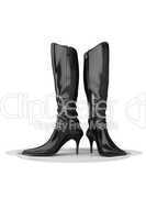 Female's boots