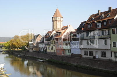 Tauber in Wertheim