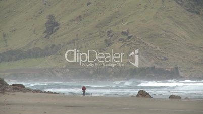 lone beach walker