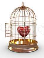 Red heart in cage