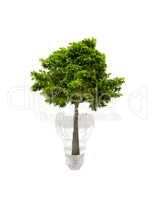 Tree in bulb