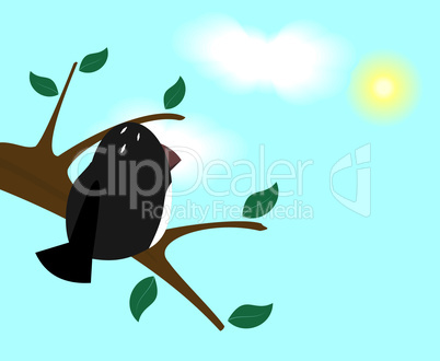 Bird on branch